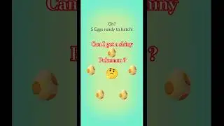 Hatching 5&times; 5KM Eggs in Pok&eacute;mon GO 🔥✨