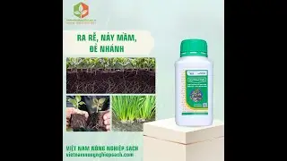 NUTRIACTIVE - PHỤC HỒI CÂY SAU THU HOẠCH - 0919817033 - vietnamnongnghiepsach.vn #dautrai