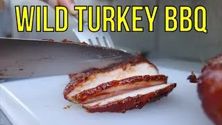 BBQ Wild Turkey Recipe Test | AMAZING RESULTS!