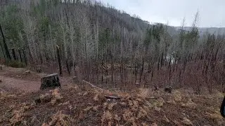 The olalla sportsman property 
