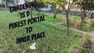 Gardening d purest portal to inner peace #garden #organic #nature #go green go clean
