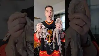 Тикка масала с осьминогами 🐙