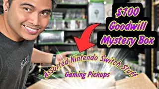 Goodwill Mystery Box For $100 (Nintendo Stuff) #nintendoswitch #nintendo