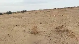 تربه وموقع ممتاز جداً للتواصل فون واتس 01210412980