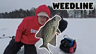 How to FIND Weedline Crappie