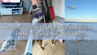 Recensione del OneTigris Invictus - Imbracatura di sollevamento per cani di taglia media e grande, i
