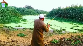 Snakehead fish wala video// nade ka shikar //back to back Attek 