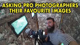 Asking Britains Best Nature Photographers Their 3 Favourite Images