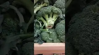 Капуста Брокколи.Цена.Маркет опт#капуста #брокколи#цена#маркетопт