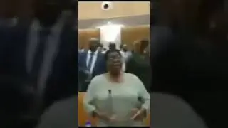 #Zimbabwe🇿🇼 Chaos in Parliament 😅🔥 #2023elections