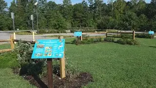 New garden aims to give home to displaced creatures