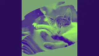 Background for Chilling Cats