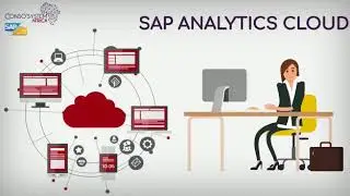 SAP BFC et SAC