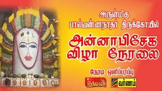 LIVE : ஐப்பசி பௌர்ணமி அன்னாபிஷேகம் || அ/மி பால்வண்ணநாதர் திருக்கோயில் || @varnamtv9745