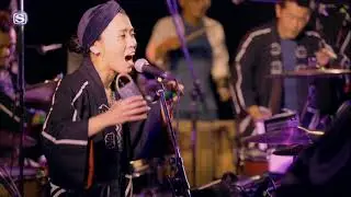 TURTLE ISLAND - 聖者と悪人 @ THE CAMP BOOK