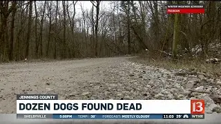 Dozen dogs found dead in Jennings County
