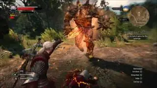 The Witcher 3 Glitch: Invincible Golem