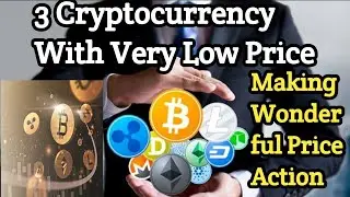 Top 3 Altcoins which are in trending and making good price Action