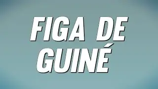 Mariana Froes - Figa De Guin&eacute; (Letra)