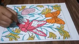 Coloring Picture of Three Butterflies in a Rice Field 13   Burbank Late Nights