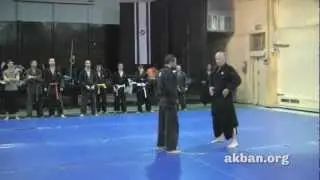 November the 20th - Hira no kamae in street - AKBAN wiki