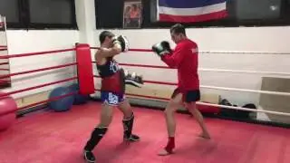 Muay Thai: pads training with Andi Rögner @ Muay Thai School Frankfurt