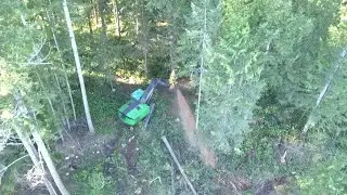 WRM. Bunching and making sawdust fly
