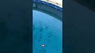 Pool Stain Update video