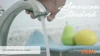 The Chatfield Pull-Out Kitchen Faucet by American Standard