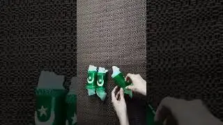14 August Craft Idea | Independence Day Craft