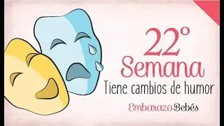 SEMANA 22 de #Embarazo | 6&ordm; Mes | Semana a semana