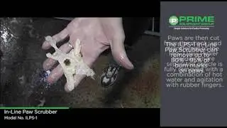 ILPS And Complete Paw System with Cutter From Prime 2017