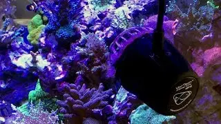 Circulation in Redsea Reefer 250 with Vortech MP10s