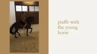 DRESSAGE CLINIC ALEXANDRE BRANCO