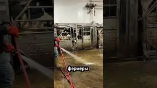 Тайна зелёной ванны! 🐄