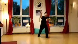 Yi Quan Workshop Germany 2011