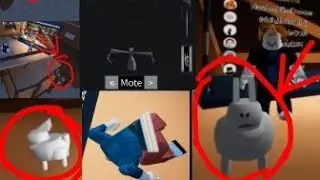 Hfrjj