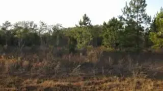 $143,000 in VALDOSTA 31606