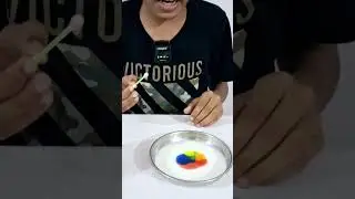 Magic Milk Science Experiment | DIY | creative spot |