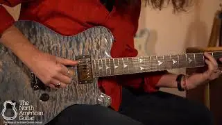 Nik Huber Dolphin II Electric Guitar Played By Brian Love (Part One)