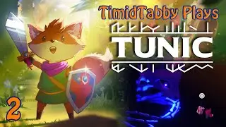 Sword and Shield | Tunic | 02