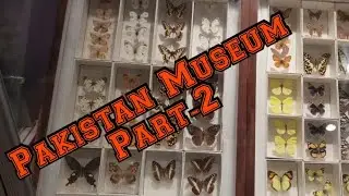 #Pakistanmuseum #saltrange Pakistan museum in Islamabad. Part -2