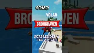 C&oacute;mo volar en Brookhaven y sorprender a tus amigos ￼