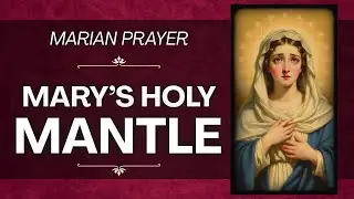 Stop Fighting Alone: Find Refuge and Total Healing Under Her Mantle | Holy Mary Prayer #HailMary