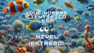 ¡Desafío QuizPlayZone! ¿Puedes Adivinar el Nombre Científico de Estos Peces? | QuizPlayZone