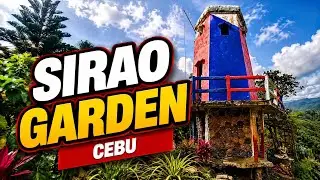 Sirao Garden 🌸 - Cebu Philippines