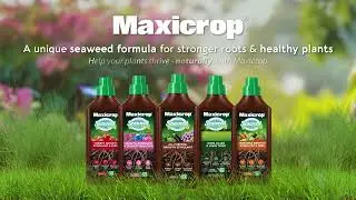 Maxicrop - Multivitamin Boost From The Roots Up