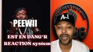 PEEWII &ndash; SYSTEM : IL S&rsquo;EN PREND DIRECT AU GOUVERNEMENT ! R&Eacute;ACTION