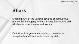 Shark Meaning