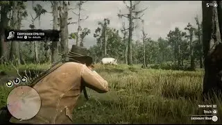 Arthur Morgan hunts a Legendary Boar #arthurmorgan #rdr2 #reddeadredmption2 #arthurmorganrdr2